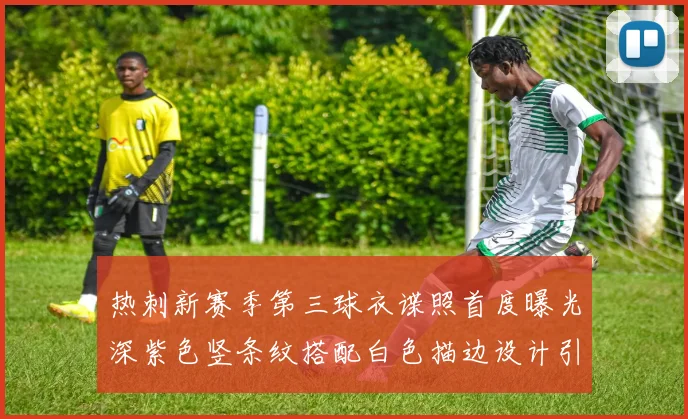 热刺新赛季第三球衣谍照首度曝光深紫色竖条纹搭配白色描边设计引发关注